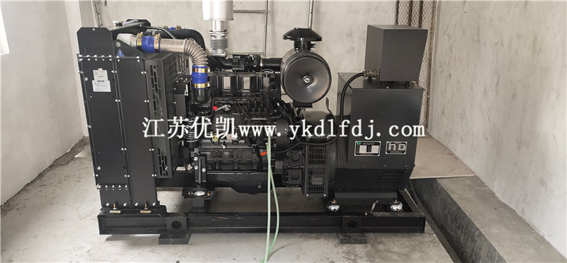 2021年1月26日，100KW上柴發(fā)電機組交付廣西防城港某養(yǎng)豬場使用
