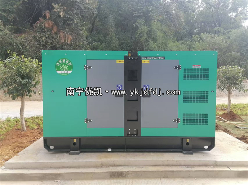 2024年11月21日，平果項目160kw低噪音柴油發(fā)電機組到貨試機